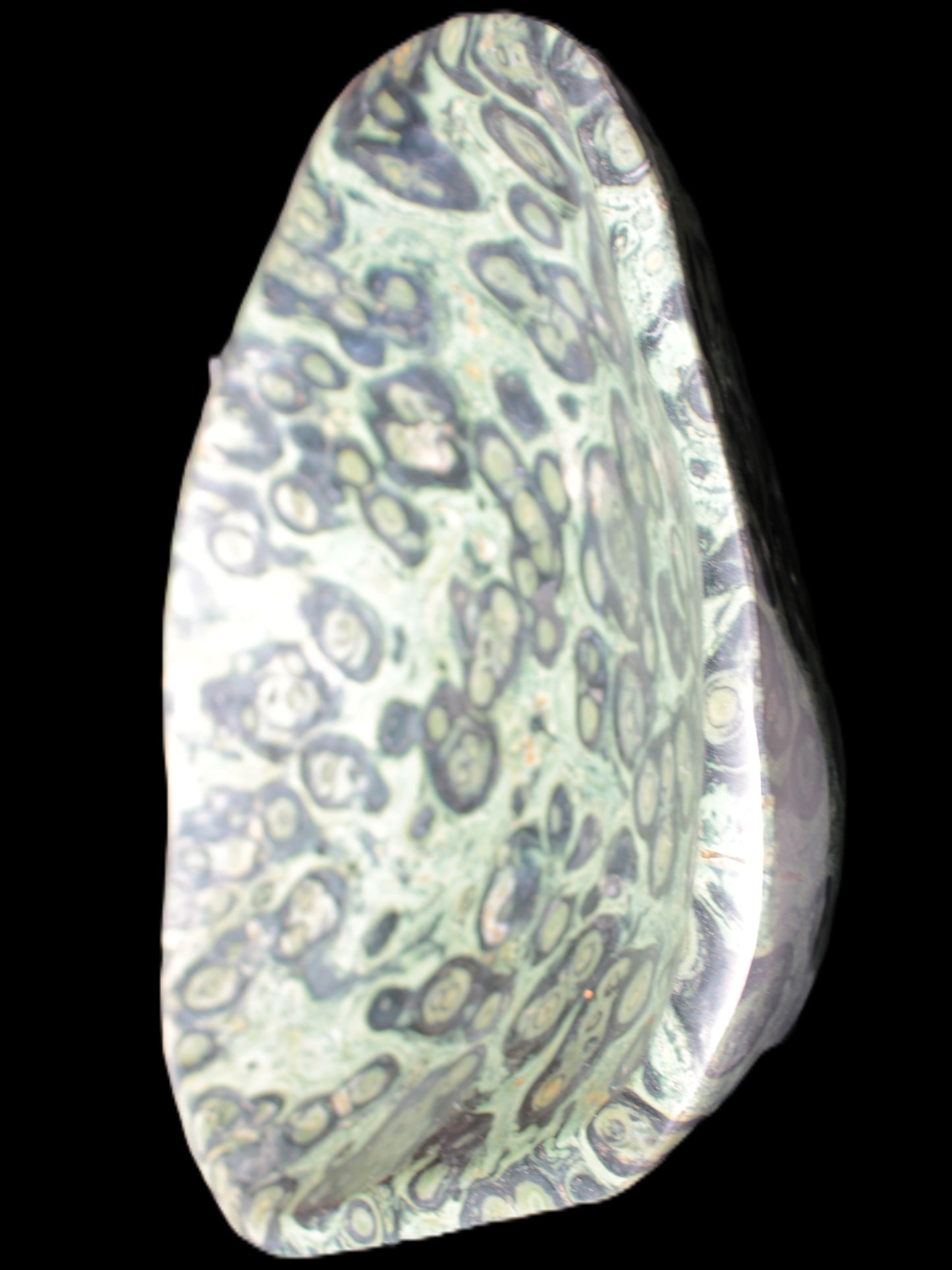 Kambaba Jasper bowl 203*203*49mm 1960g