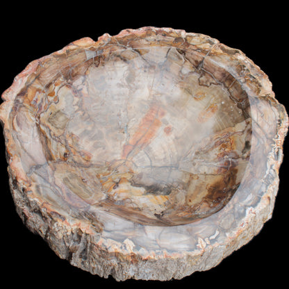 Huge Petrified Wood bowl 295*275*54mm 6100g