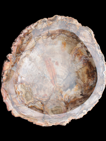 Huge Petrified Wood bowl 295*275*54mm 6100g