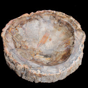 Huge Petrified Wood bowl 295*275*54mm 6100g in sunlight - Rocks and Things Store