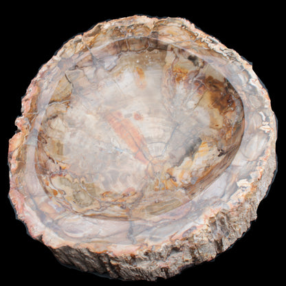 Huge Petrified Wood bowl 295*275*54mm 6100g