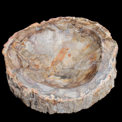 Huge Petrified Wood bowl 295*275*54mm 6100g