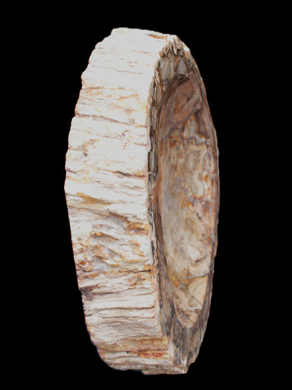 Huge Petrified Wood bowl 295*275*54mm 6100g