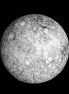 Large Fossiliferous Ammonite and Orthoceras Marble sphere 173mm 7440g