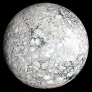 Large Fossiliferous Ammonite and Orthoceras Marble sphere 173mm 7440g