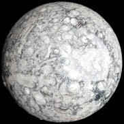 Large Fossiliferous Ammonite and Orthoceras Marble sphere 173mm 7440g