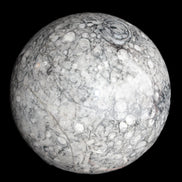 Large Fossiliferous Ammonite and Orthoceras Marble sphere 173mm 7440g