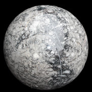 Large Fossiliferous Ammonite and Orthoceras Marble sphere 173mm 7440g