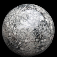 Large Fossiliferous Ammonite and Orthoceras Marble sphere 173mm 7440g