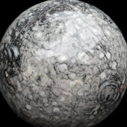 Large Fossiliferous Ammonite and Orthoceras Marble sphere 173mm 7440g