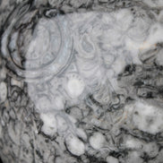 Large Fossiliferous Ammonite and Orthoceras Marble sphere 173mm 7440g