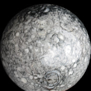 Large Fossiliferous Ammonite and Orthoceras Marble sphere 173mm 7440g