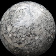 Large Fossiliferous Ammonite and Orthoceras Marble sphere 173mm 7440g