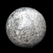 Large Fossiliferous Ammonite and Orthoceras Marble sphere 173mm 7440g