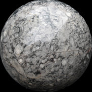 Large Fossiliferous Ammonite and Orthoceras Marble sphere 173mm 7440g