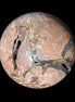 Massive Volcano Agate sphere 185mm 7920g