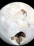 Sakura Agate sphere 97mm 1062g in sunlight - Rocks and Things Store
