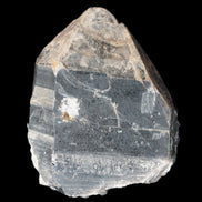 Large Black Smoky Quartz crystal 130*90*175mm 2580g Rocks and Things Store