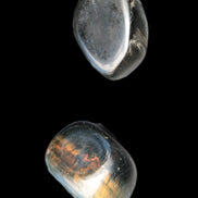 Blue Tigers Eye 2 stones 20g Rocks and Things Store