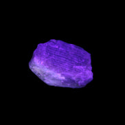 Golden Arusha Quartz raw crystal 14g in UV light