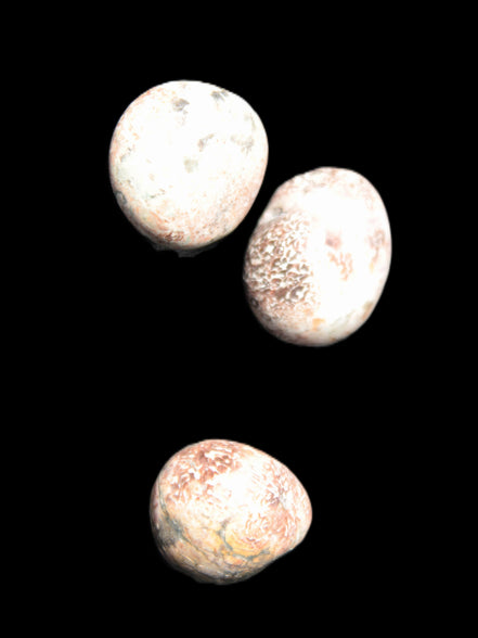 Teardrop Cherry Blossom Jasper 3 stones 12g Rocks and Things Store