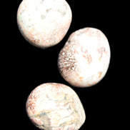 Teardrop Cherry Blossom Jasper 3 stones 12g Rocks and Things Store