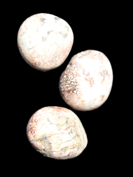 Teardrop Cherry Blossom Jasper 3 stones 12g Rocks and Things Store