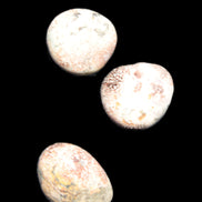 Teardrop Cherry Blossom Jasper 3 stones 12g Rocks and Things Store