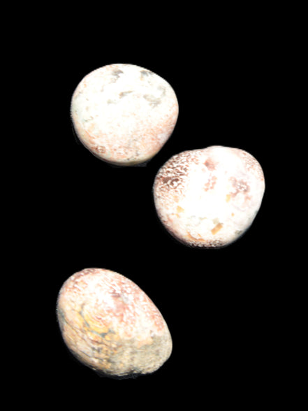 Teardrop Cherry Blossom Jasper 3 stones 12g Rocks and Things Store