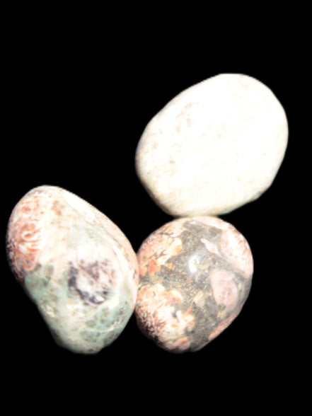 Teardrop Cherry Blossom Jasper 3 stones 12g Rocks and Things Store