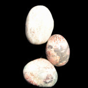 Teardrop Cherry Blossom Jasper 3 stones 12g Rocks and Things Store