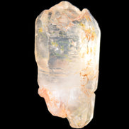 Fenster Crystal with hydrocarbons 36mm 10.6g in sunlight - Rocks and Things Store