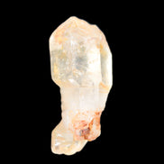 Fenster Crystal with hydrocarbons 36mm 10.6g in sunlight - Rocks and Things Store