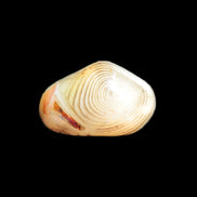 Crazy Lace Sardonyx Agate from Madagascar 34*20*18mm 18.4g in sunlight - Rocks and Things Store