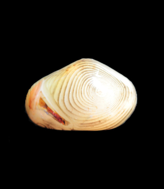 Crazy Lace Sardonyx Agate from Madagascar 34*20*18mm 18.4g Rocks and Things Store