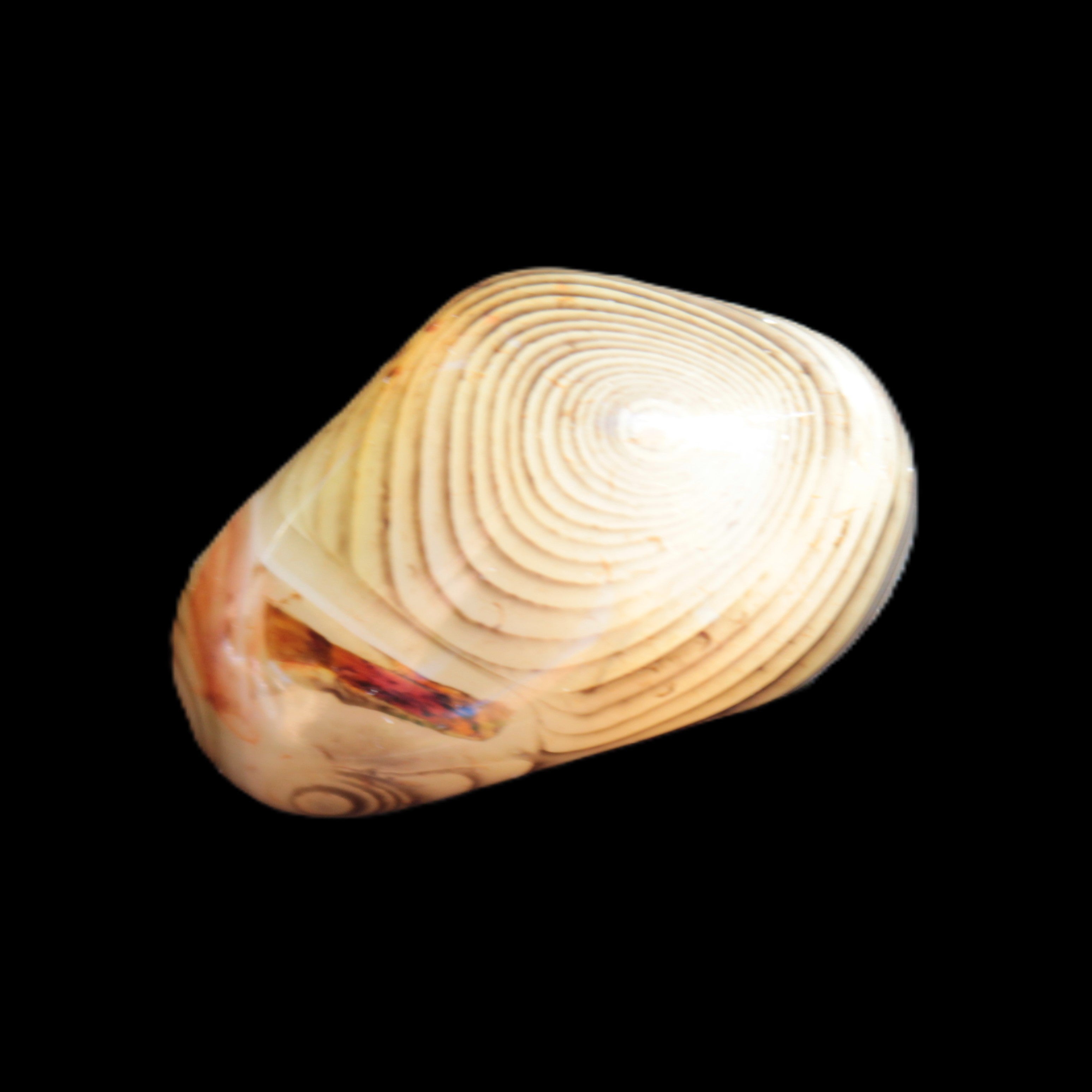 Crazy Lace Sardonyx Agate from Madagascar 34*20*18mm 18.4g Rocks and Things Store