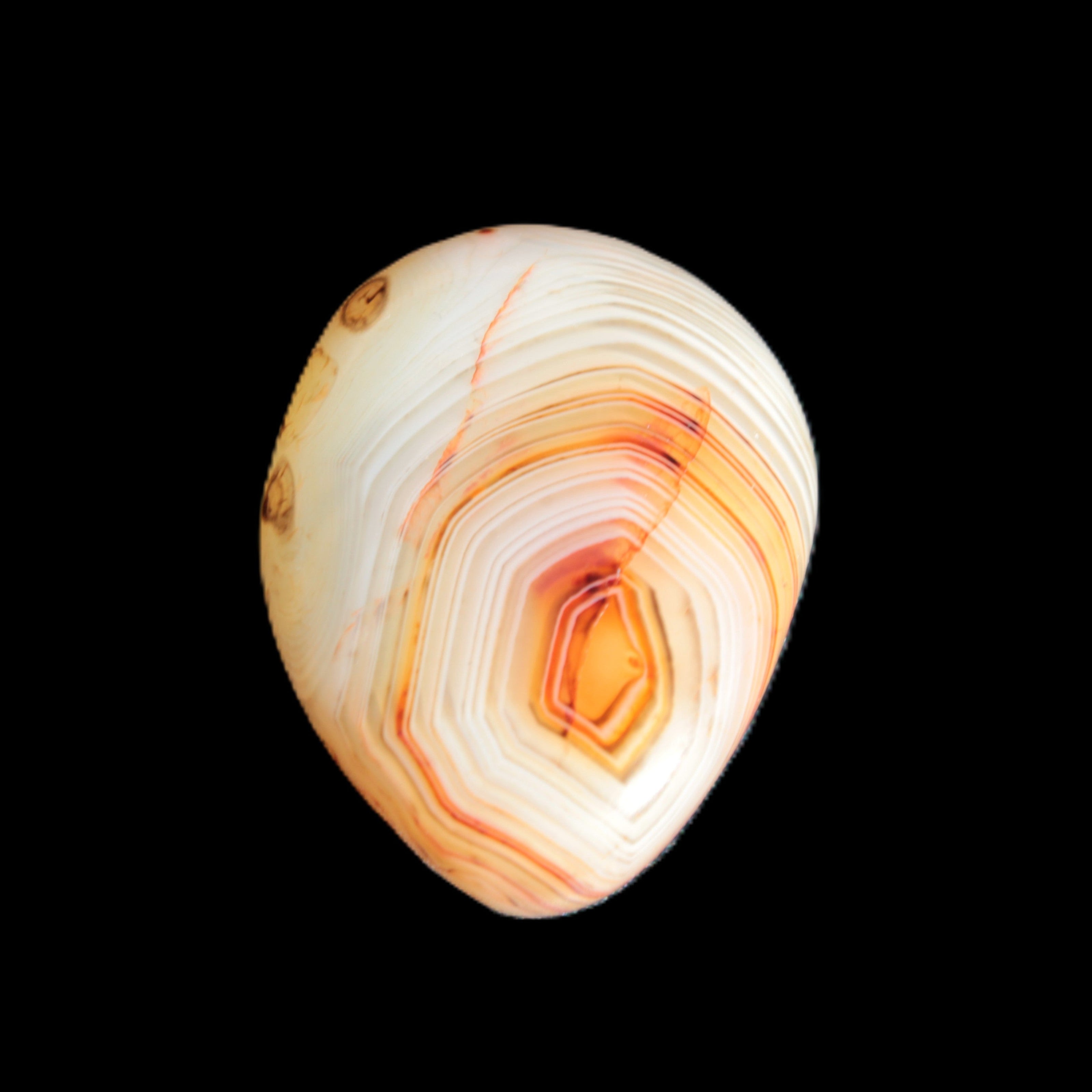 Crazy Lace Banded Agate from Madagascar 30*23mm 19.5g - Rocks and Things Store