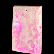 Rose Chrysanthemum coral fossil pendant 47*33*5mm 22.6g in bright sunlight - Rocks and Things Store