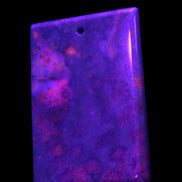 Rose Chrysanthemum coral fossil pendant 47*33*5mm 22.6g in UV light - Rocks and Things Store