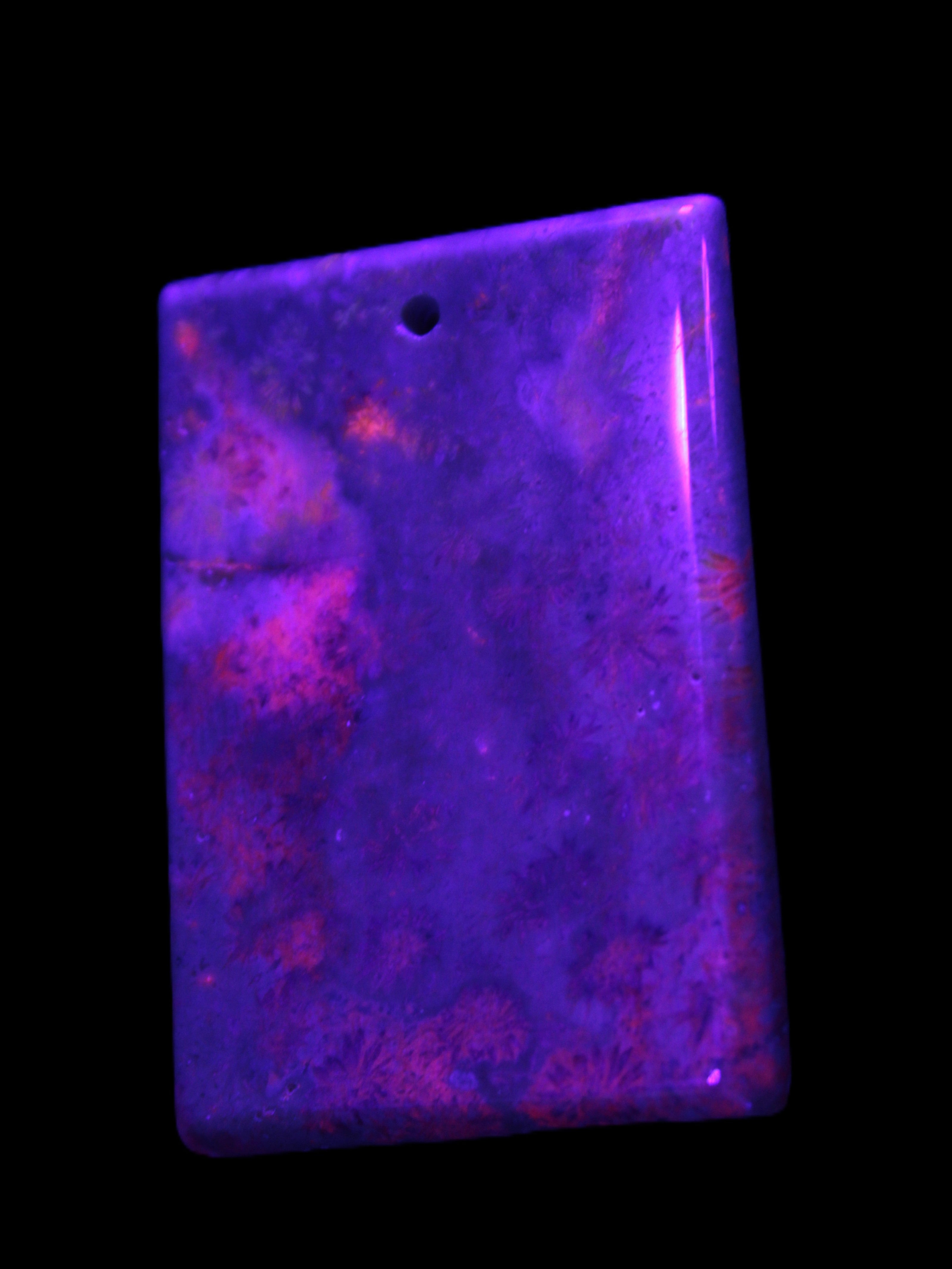 Rose Chrysanthemum coral fossil pendant 47*33*5mm 22.6g in UV light - Rocks and Things Store