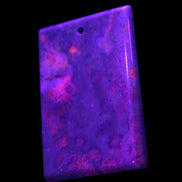 Rose Chrysanthemum coral fossil pendant 47*33*5mm 22.6g in UV light - Rocks and Things Store