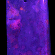 Rose Chrysanthemum coral fossil pendant 47*33*5mm 22.6g in UV light - Rocks and Things Store