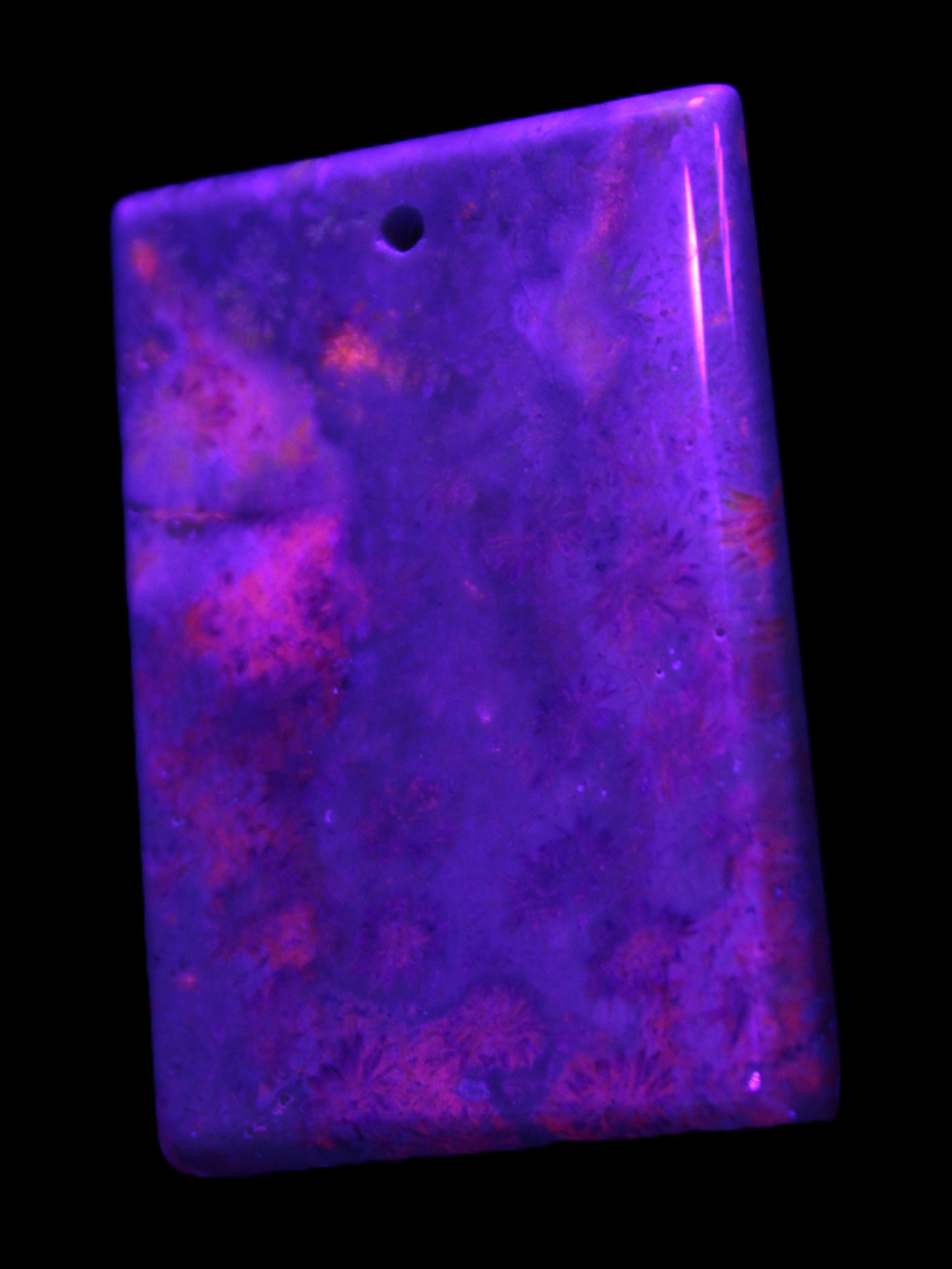 Rose Chrysanthemum coral fossil pendant 47*33*5mm 22.6g in UV light - Rocks and Things Store