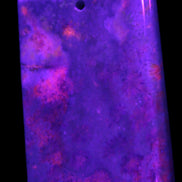 Rose Chrysanthemum coral fossil pendant 47*33*5mm 22.6g in UV light - Rocks and Things Store