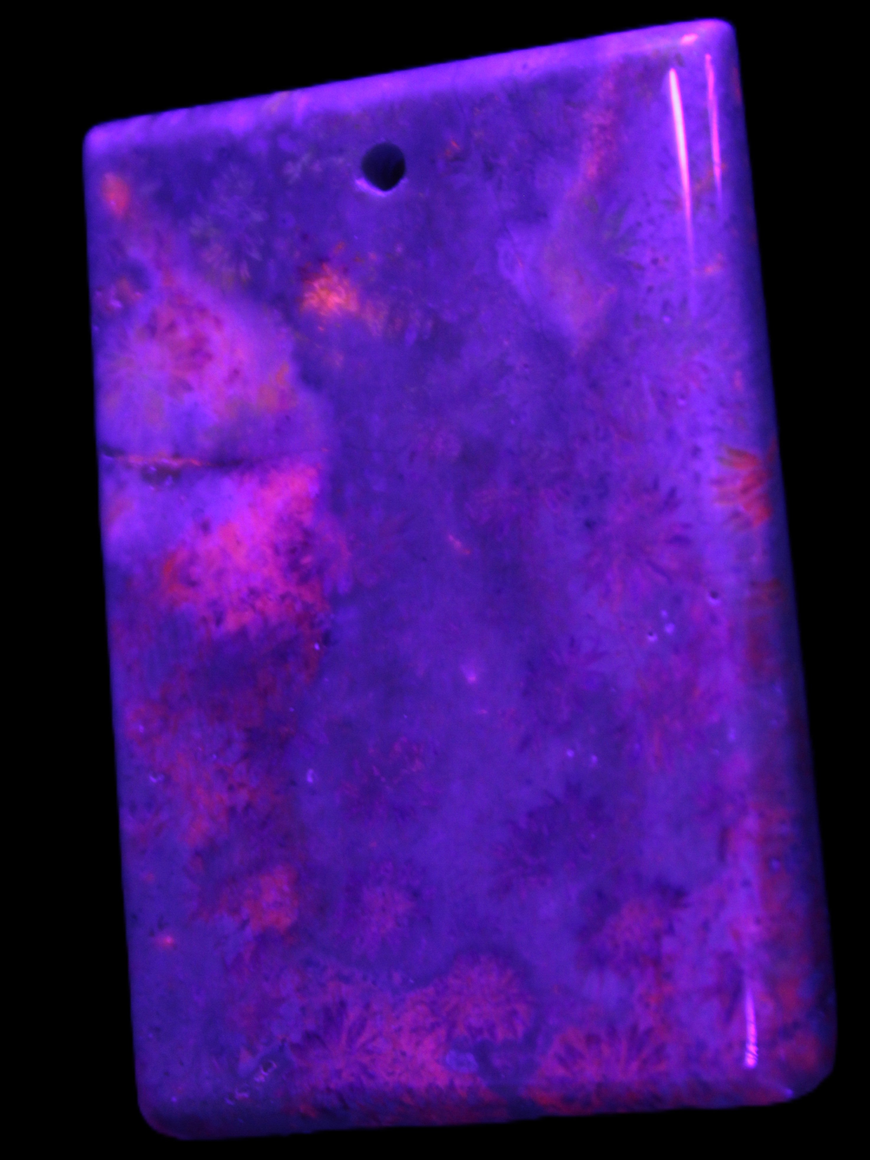 Rose Chrysanthemum coral fossil pendant 47*33*5mm 22.6g in UV light - Rocks and Things Store