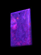 Rose Chrysanthemum coral fossil pendant 47*33*5mm 22.6g in UV light - Rocks and Things Store