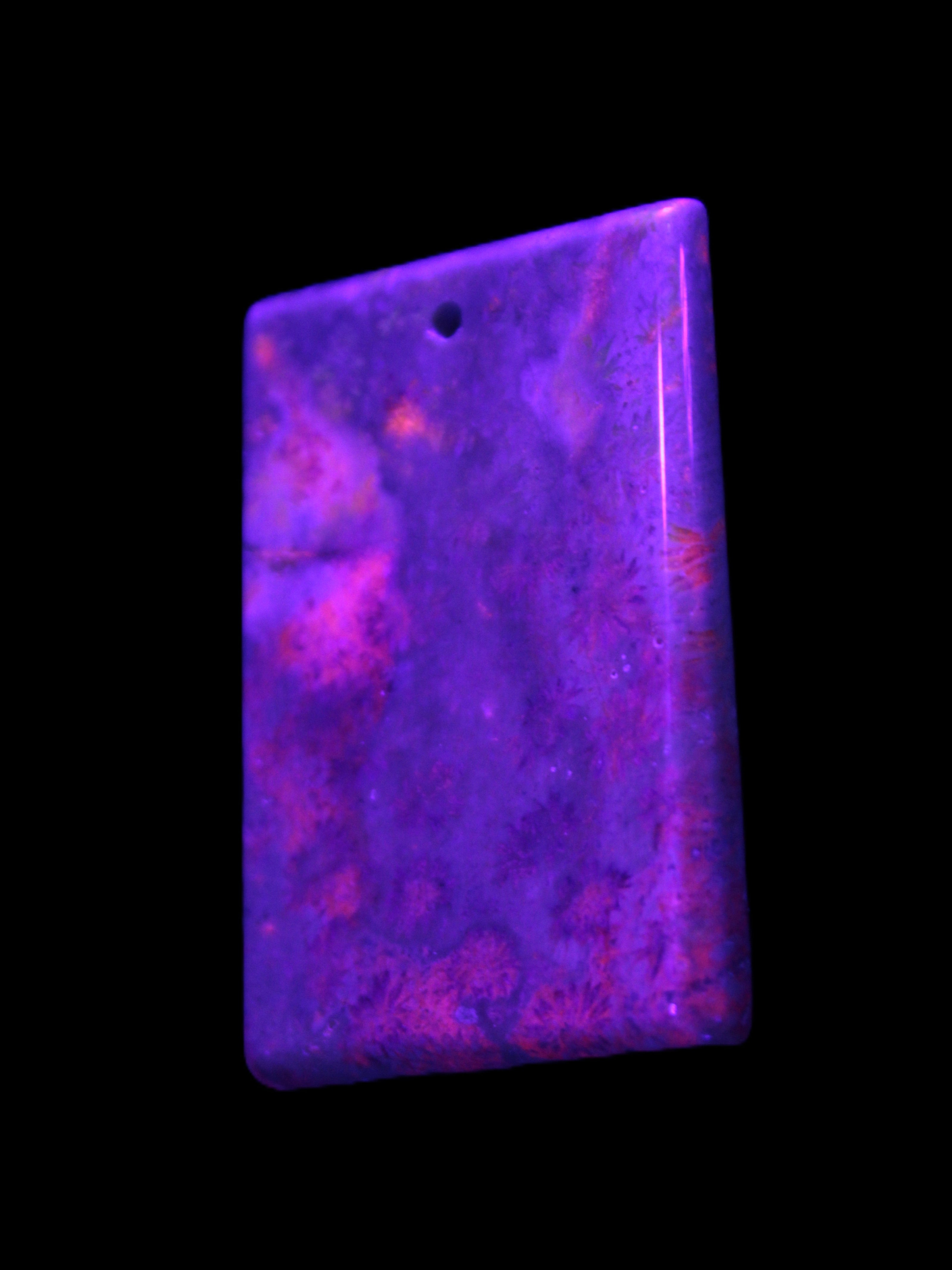 Rose Chrysanthemum coral fossil pendant 47*33*5mm 22.6g in UV light - Rocks and Things Store