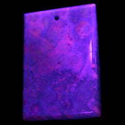 Rose Chrysanthemum coral fossil pendant 47*33*5mm 22.6g in UV light - Rocks and Things Store