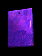 Rose Chrysanthemum coral fossil pendant 47*33*5mm 22.6g in UV light - Rocks and Things Store