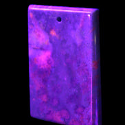 Rose Chrysanthemum coral fossil pendant 47*33*5mm 22.6g in UV light - Rocks and Things Store